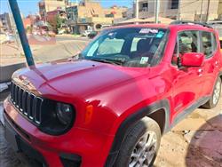 جيب رينيجيد